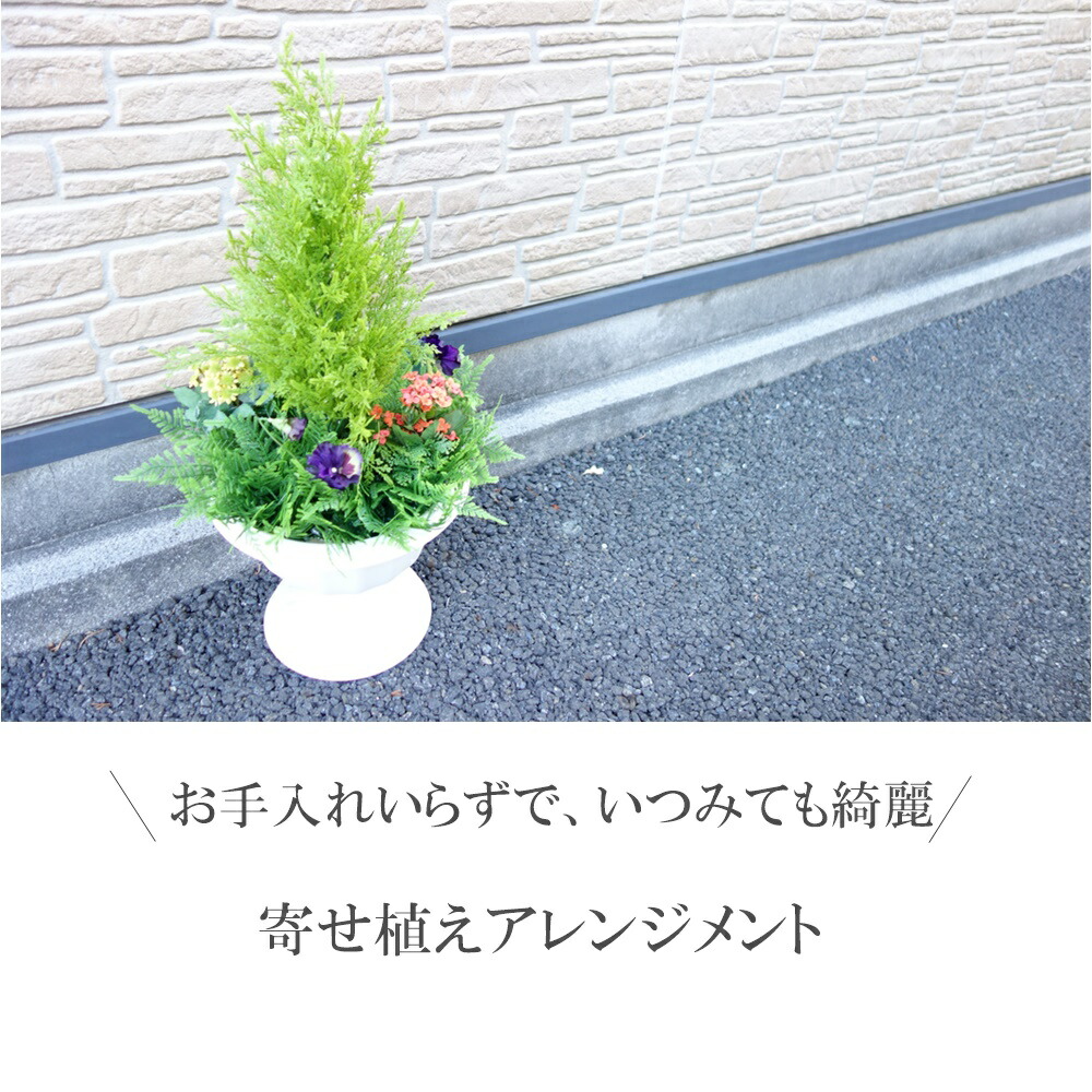 寄せ植え 按配 造花 ゴールドクレスト 戸外一致 貨物輸送無料 仰山 求め対応 クオンティティーさ70 範囲35 プラ鉢 Vned Org