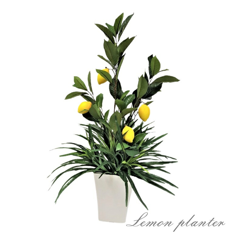 【人工観葉植物】【レモンの木】【レモンツリー】【触媒加工】【送料無料】80ｃｍ