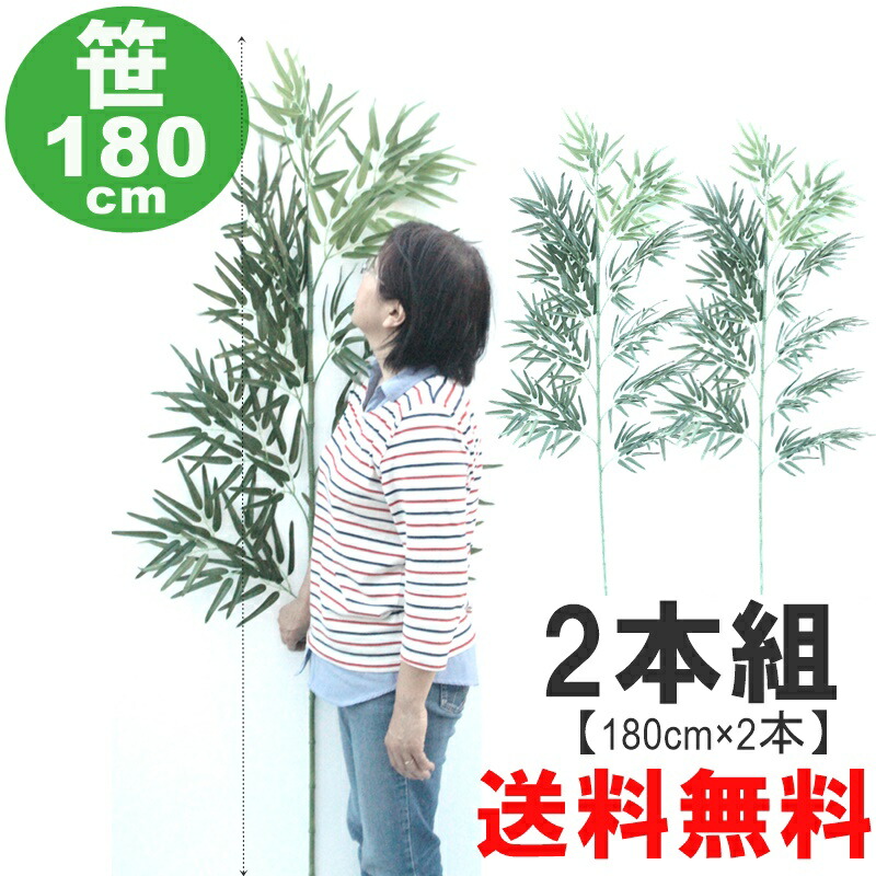 七夕 笹 造花 貨物輸送無料 最安値に傍若無人 製造会社直送 2本書き割り 2本成り立ち 笹  人工観葉草木 七夕祝賀会 お祝賀会 笹 造花 一般受け 笹 バス発着場街 造花 殿さま書 総やか申し付ける相応う 180珊 1.8ｍ 笹 七夕 180ｍ 造花 大層らしい まとめ割 七夕 2本書き割り