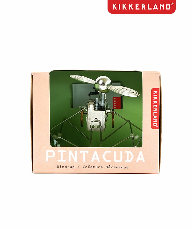 KIKKERLAND wind up カティタ Amazon.com: Kikkerland Windup Katita – Cute Wind Up Pet for