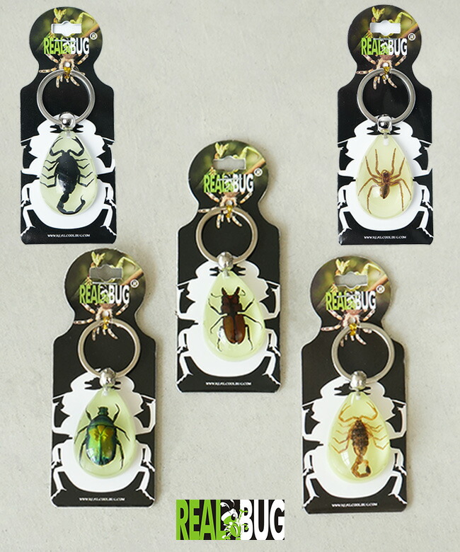 楽天市場】[YK603/04/06/08/10]REAL BUG(リアルバグ) GOLDEN SCORPION