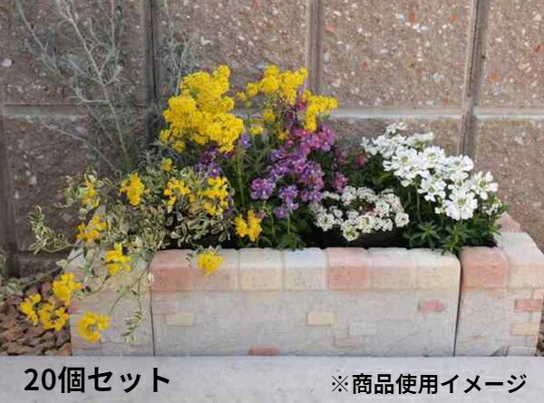 レンガブロック 屋外用 おしゃれ 花壇 庭 安い 激安 フェンス ガーデン 造園 diy プランター ベランダ 置くだけ 並べる だけ インテリア 園芸 装飾 敷石 長い 踏み台 玄関 床 20個 まとめ売り まとめ買い｜WOODS（ウッズ） 27,460円