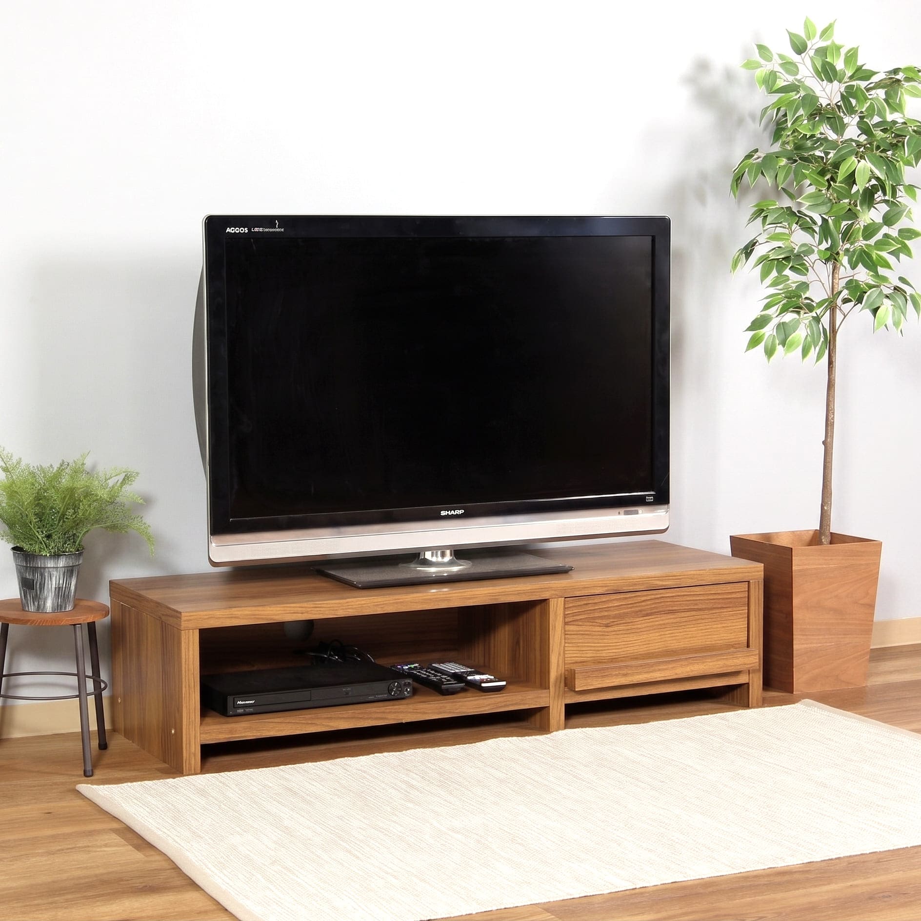 テレビ台 ローボード テレビボード 扉付き 収納 棚 幅120 木目 ブラウン 茶色 薄型 配線 ルーター収納 TV台 テレビラック TVボード TVラック レコーダー ディスプレイ おしゃれ コンパクト 一人暮らし ロータイプ 低い 省スペース 安い シンプル モダン 北欧 人気