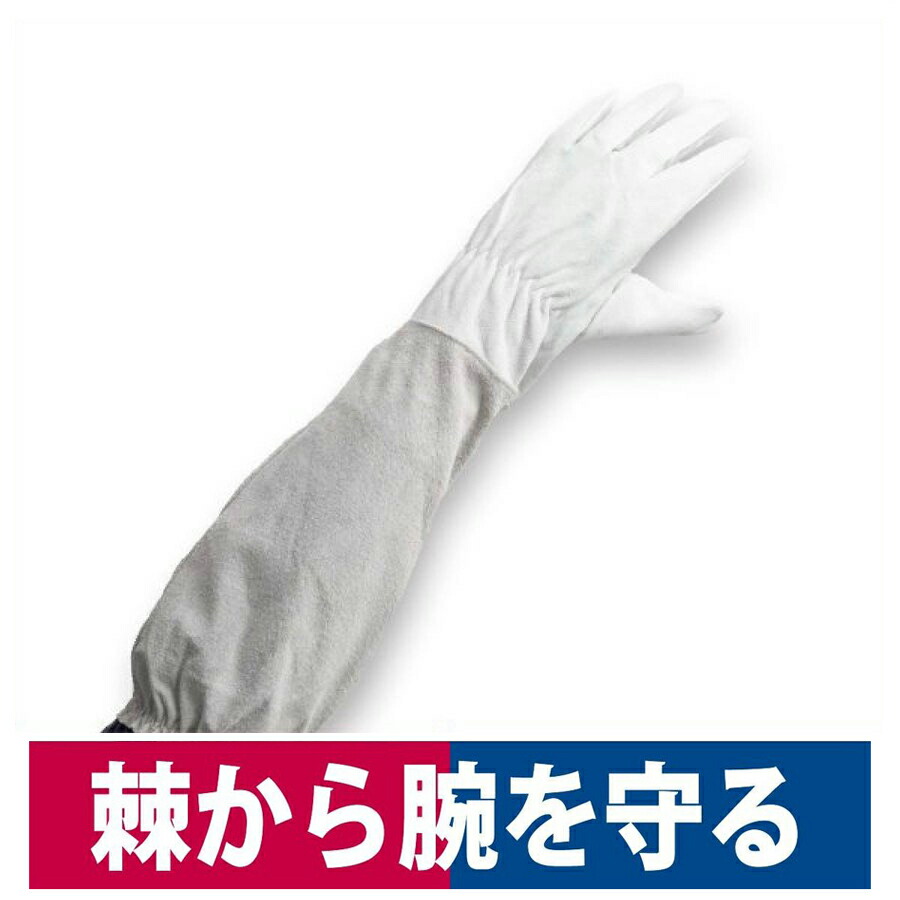 楽天市場】革手袋 とげハンド 革手袋 柚子 薔薇 バラ 棘 収穫