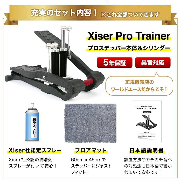 エクサー プロ ステッパー フロアマット セット ブラック Pro Xiser 5