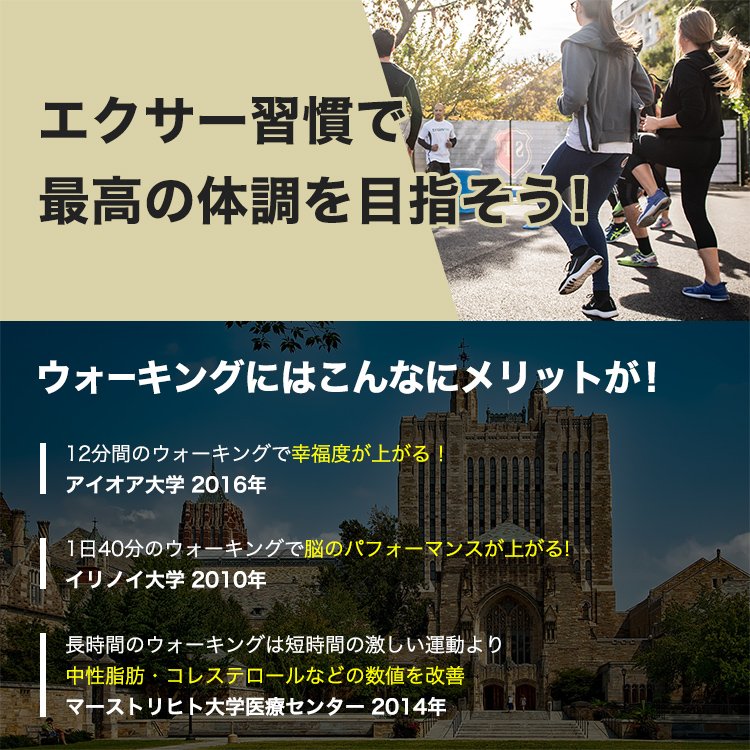 エクサー プロ ステッパー ブラック 5年保証 フロアマット セット 日本語説明書付き Xiser Pro Trainer