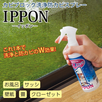 カビブロック洗浄防カビスプレー Ippon イッポン 部屋 掃除 洗剤 Crunchusers Com