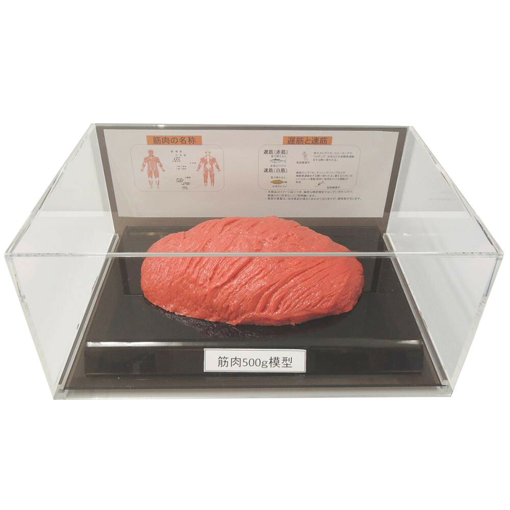 腕力ひな形図形容れもの入 500g IP-985