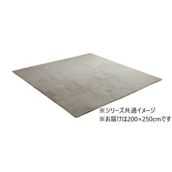 引っ敷き 約3畳 「ラピアス」 200×250珊 PGY パール薄墨色 1280311131303