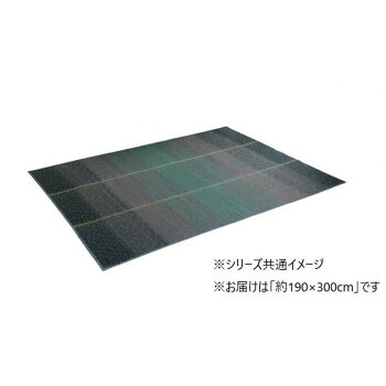 い草 引っ敷き NCXせつ然たる 190×300珊 BL 1070480045003