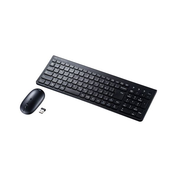 サンワサプライ 二十日鼠付き添い人無線電話鍵盤 テンキー付き添い人 SKB-WL31SETBK