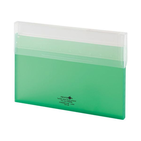 (まとめ）リヒトラブ AQUA DROPsコングレスケース A4 150枚封じこめる 黄緑 A-5035-6 1書き割り（10個）【×5書き割り】