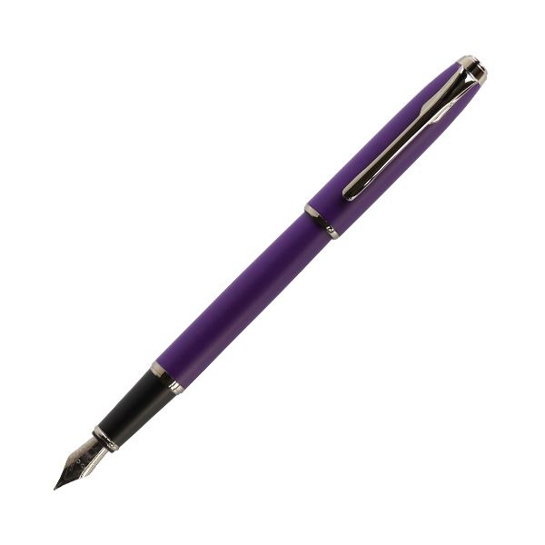 （まとめ） 寺西舎密学 ギター 筆 パープル FGFPN-PU-F 1本 【×5書き割り】