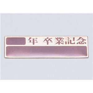 独創的 楽天市場 送料無料 まとめ アーテック 卒業記念プレート 10枚組 アルミ製 15セット ワールドデポ 即納特典付き Kinerja Disnakertrans Jatimprov Go Id