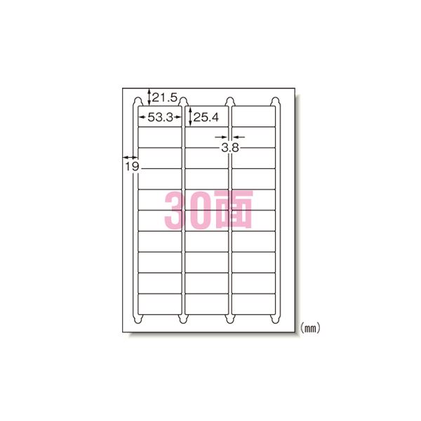 2022?新作】 （まとめ） エーワン ラベルシール〈プリンタ兼用〉キレイにはがせるタイプ（再剥離） マット紙（A4判） 10枚入 31277  【×5セット】 本命ギフト-css.edu.om