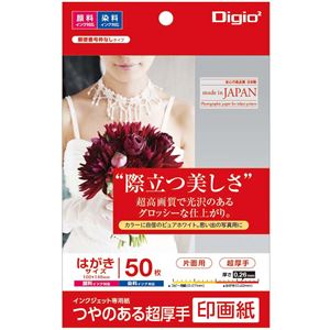 （まとめ） Digio2 インクジェット印刷人質問用紙 印画紙手合い パソコン／50枚 JPSK2-パソコン-50【×5書き割り】
