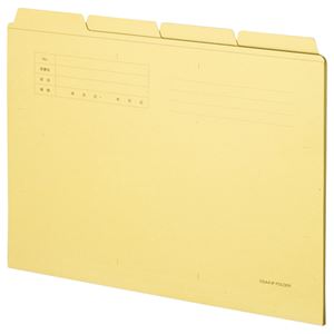 （まとめ） TANOSEE カットフォルダー4山 両面手工芸品 A4 1容器に並べる（20冊） 【×10書き割り】