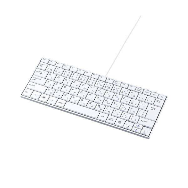 (まとめ)サンワサプライ USBか細い鍵盤 SKB-SL18WN【×2書き割り】