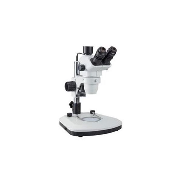 SALE／65%OFF】 ケニス生物顕微鏡 M200T ilam.org