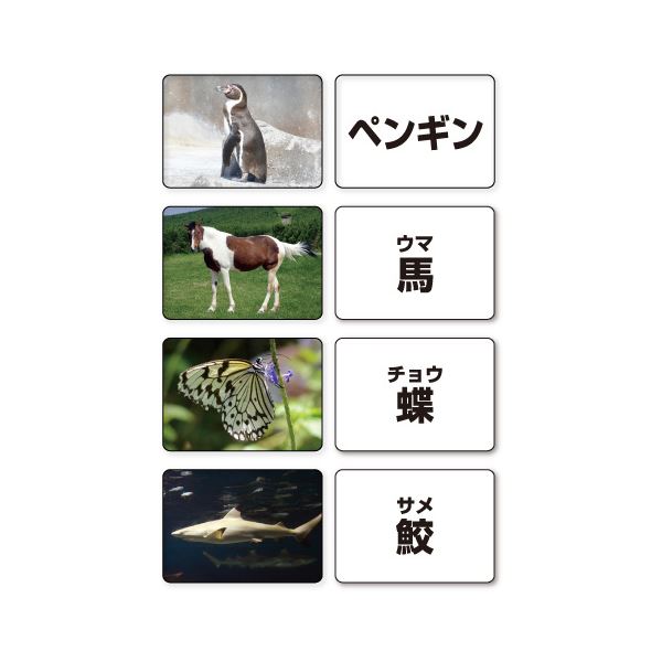 介護食介護用品その他 送料無料 多目的言語カードセット 動物 Kk0491 1 ワールドデポ