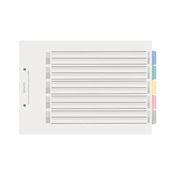 （まとめ）コクヨ 色つや間仕切り歌留多（PP）整理保存用具用 A4ヨコ 2穴 5色 5山総目録+扉紙 シキ-P25 1書き割り（5組）【×10書き割り】