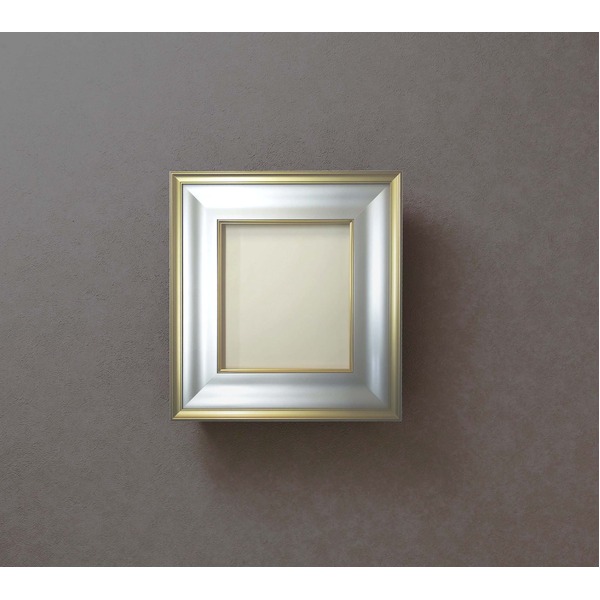 驚きの値段で ゴールド 金泥 最高級色紙額 273 242mm 送料無料 最高級色紙額 幅が広い豪華な色紙用額 Ds Www Providenciasindicos Com Br