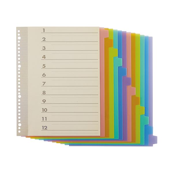 TANOSEE インデックス PP A4タテ 2 4 30穴 12山1組 1セット 20パック 【国内即発送】