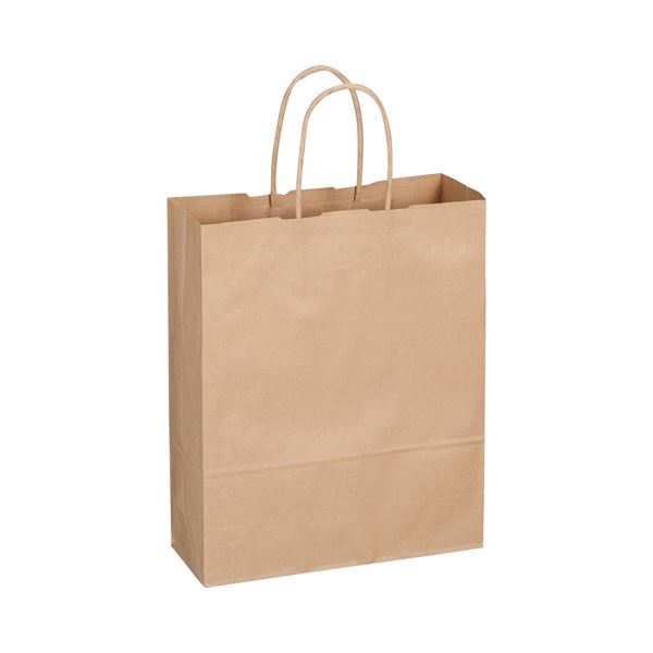 (まとめ) TANOSEE ラミネートクラフトバッグ 小 ヨコ270×タテ350×マチ幅110mm 黒 1パック（10枚） 〔×10セット〕 たのめーるTANOSEE ラミネートクラフトバッグ 大 ヨコ320×タテ440