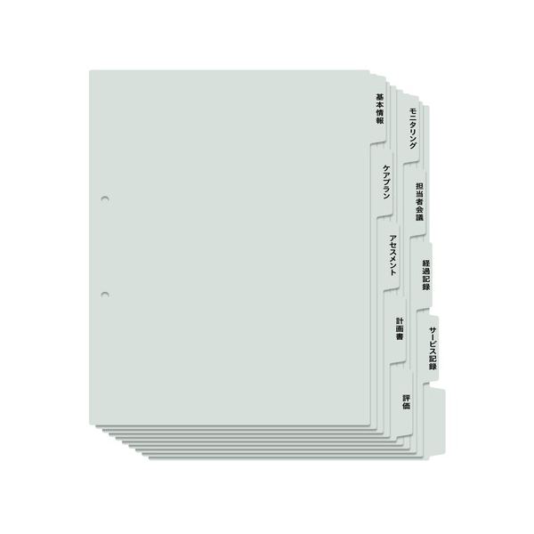 （まとめ）つけ加える 当て嵌める者カルテ用総目録A4S 2穴 5山×2【×20書き割り】