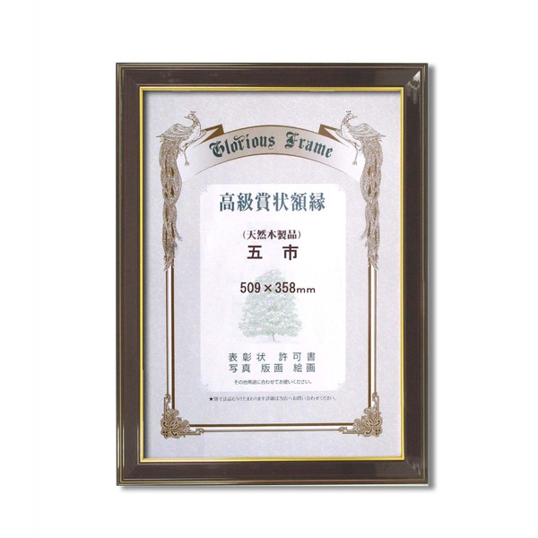 〔 受注生産 〕 高級 賞状額 樹脂賞状額 光輝 五市 509×358mm 壁掛けひも付き 額 額縁 フレーム