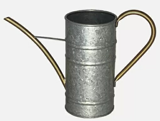 市場 スチール製 セット Watering 水差し シャワーヘッド 観葉植物 Steel ジョウロ 植物 ピッチャー 水やり