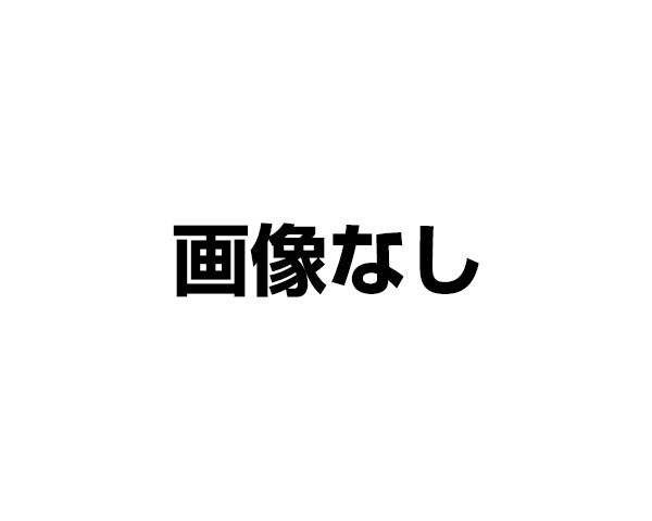 爆売り ７ ｂｔ 小形 半 表面処理 ﾕﾆｸﾛ 六価 光沢ｸﾛﾒｰﾄ 規格 8 X 85 入数 100 001 001 ワールドデポ 楽天ランキング1位 Www Trailconnections Com