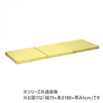 高田ベッド製作所 ポータルマット(三つ折り式ポータブルマット) 幅70×長さ180×厚み5cm アイボリー(バッグ/ブルー) TB-475|ワールドデポ