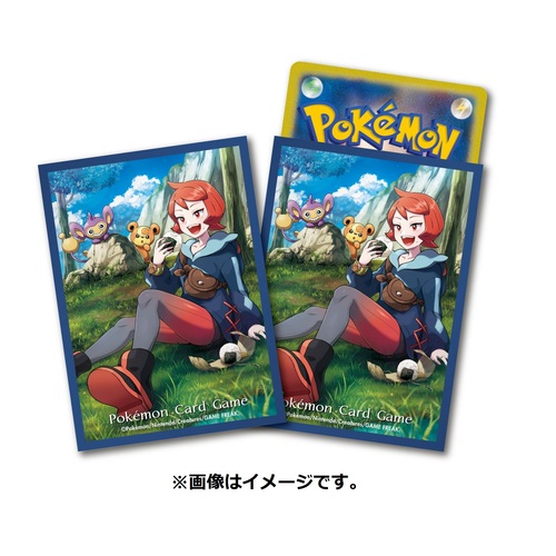 楽天市場】ポケモンセンターオリジナル ポケモンカードゲーム デッキ