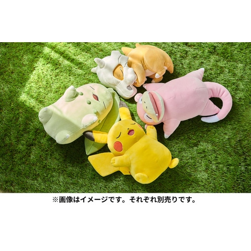 ポケモンセンターオリジナル もっちりぬいぐるみ Pokemon Sleep