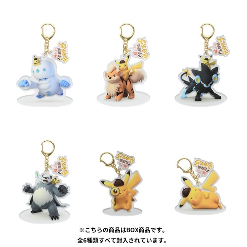 楽天市場】ポケモンセンターオリジナル アクリルキーホルダー