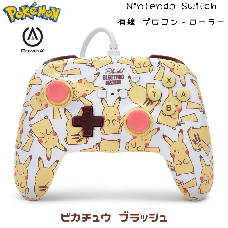 ニンテンドー　Switch 有線コントローラーとおまけ付き Amazon.co.jp: ニンテンドースイッチ用USB AtoC変換コネクタ