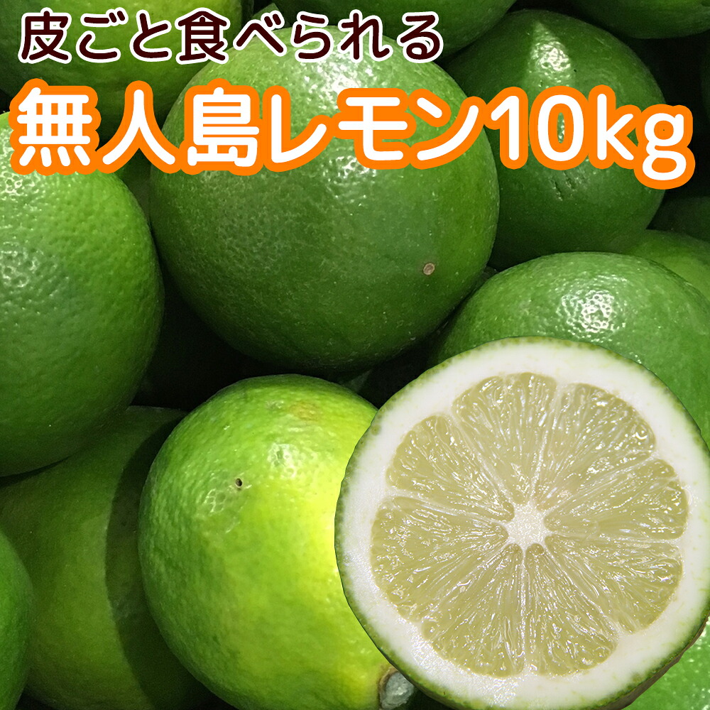 農園直送　広島産 無人島のレモン 約１０ｋｇ　 サイズいろいろ 皮まで食べられます 送料込み 国産レモン 越智農園 お土産