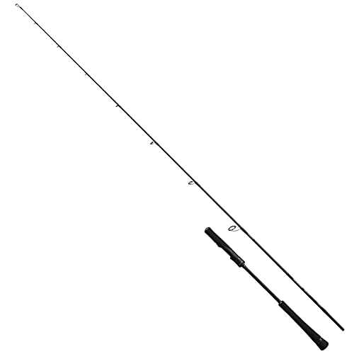 シマノ(SHIMANO) 極点 並継 ソルト 競り合い印字機 LJ 2021 S63-2 122g オフショア ジギング 葉物