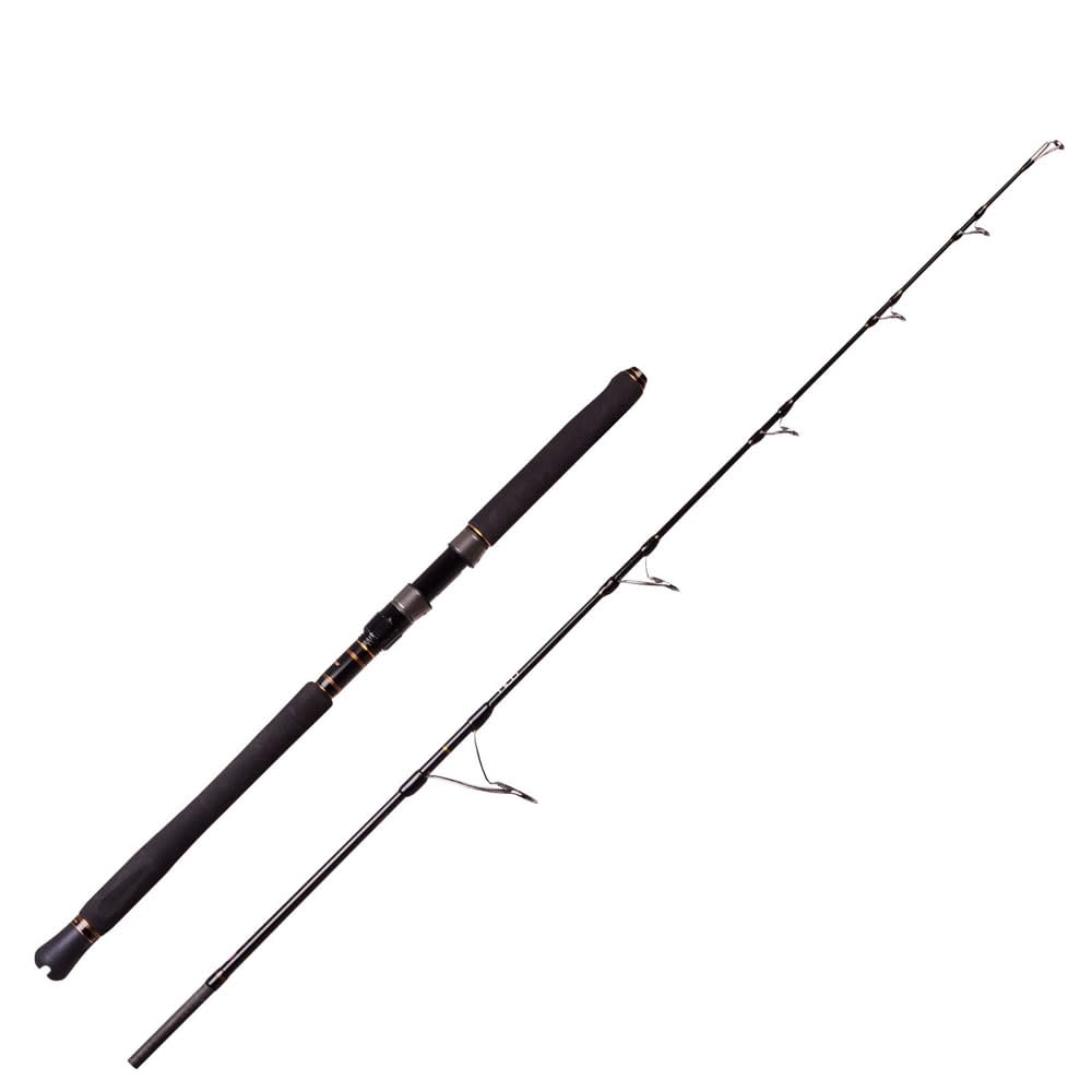 PENN (書き込み) SLAMMER JIGGING スラマー ジギング SLJS-53XH オフショア 鮪 ヒラマサ 葉物