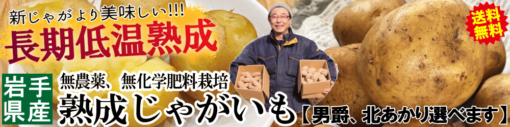 楽天市場】【送料無料】新物!!あす楽☆青森にんにく バラ 1kg 皮剥