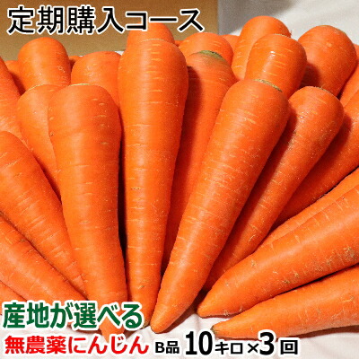 単品より安い【定期購入】<br>にんじん 無農薬 Ｂ品10kg×3回コース【送料無料】<br>産地が選べる無農薬にんじん 10キロ×3回【計30キロ】<br>【ニンジン 無農薬】【人参 ジュース用】<br>【有機JAS認証 人参】【訳あり 洗い人参】<br>