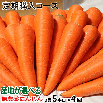 単品より安い!!【定期購入】<br>にんじん 無農薬 B品5kg×4回コース【送料無料】<br>産地が選べる無農薬にんじん 5キロ×4回【計20キロ】<br>【ニンジン 無農薬】【人参 ジュース用】<br>【有機JAS認証 人参】【訳あり 洗い人参】<br>