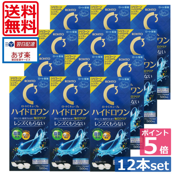 【貨物輸送無料】【尖んがり5倍】ロートC正六面体 ハイドロ壱(500ml)×12、入れもの付  （）