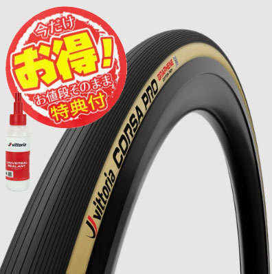 楽天市場】【即納】【SALE】『今だけ！お買い得パック