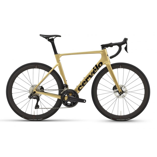 【貨物輸送無料】【代引不可】24サーベロ SOLOIST R8170 ULTEGRA Di2 Gold Dust [CVS] スポーツ・アウトドア-自転車・サイクリング-ロードバイク