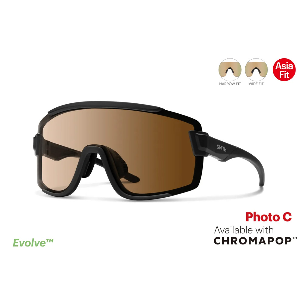 楽天市場】サングラス スミス SMITH Wildcat Matte Black / CP Glacier