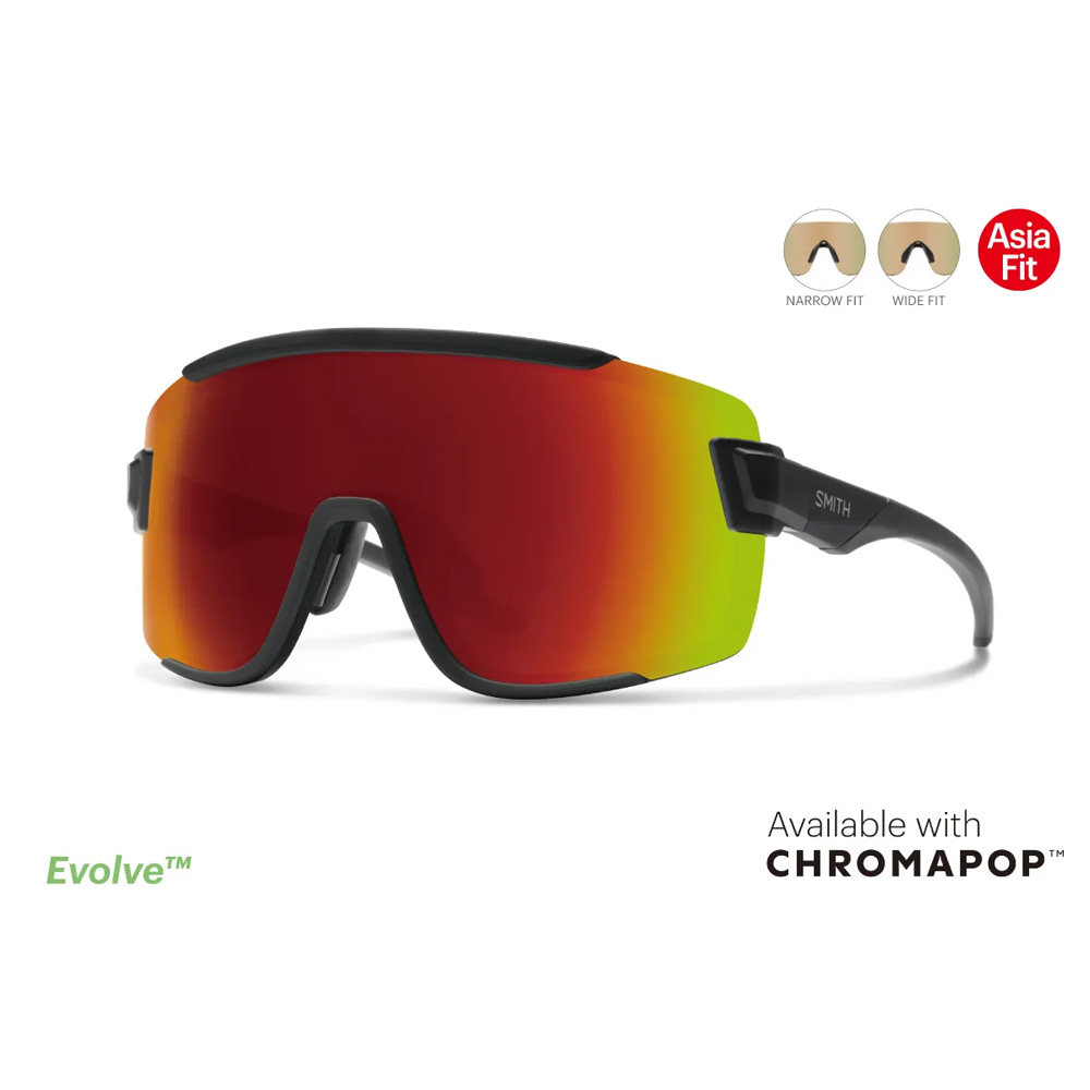 楽天市場】サングラス スミス SMITH Wildcat Matte Black / CP Low