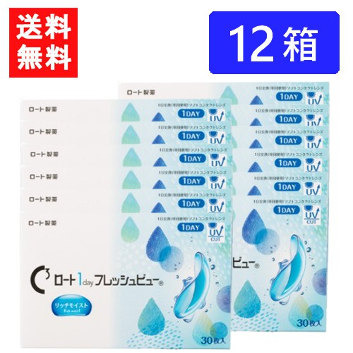 ロート ワンデーフレッシュビュー リッチモイスト 30枚入 ×12箱 貨物輸送無料 RHOTO 1DAY フレッシュビュー 医薬品・コンタクト・介護-コンタクトレンズ・ケア用品
