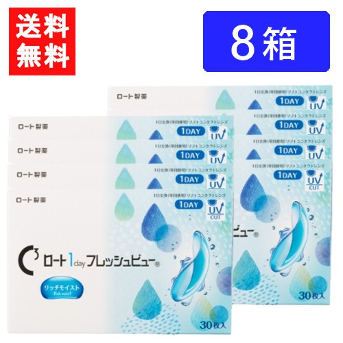 ロート ワンデーフレッシュビュー リッチモイスト 30枚入 ×8箱 送料無料 RHOTO 1DAY フレッシュビュー|ワールドファクトリー